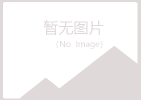 通辽埋没音乐有限公司